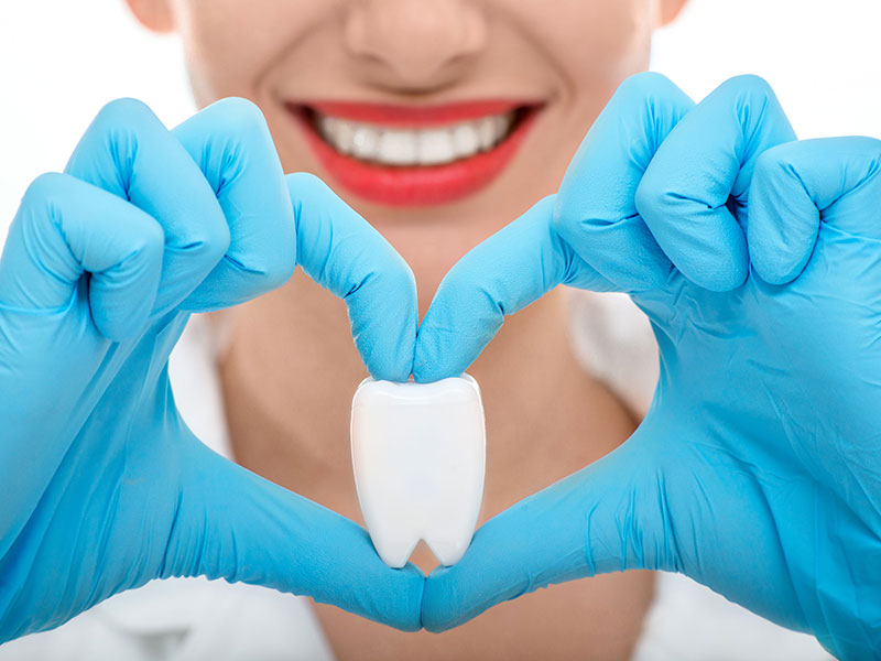 A dentist holding a tooth