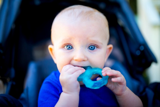 A toddler eating a toy